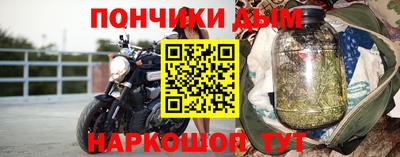 гидра Можга