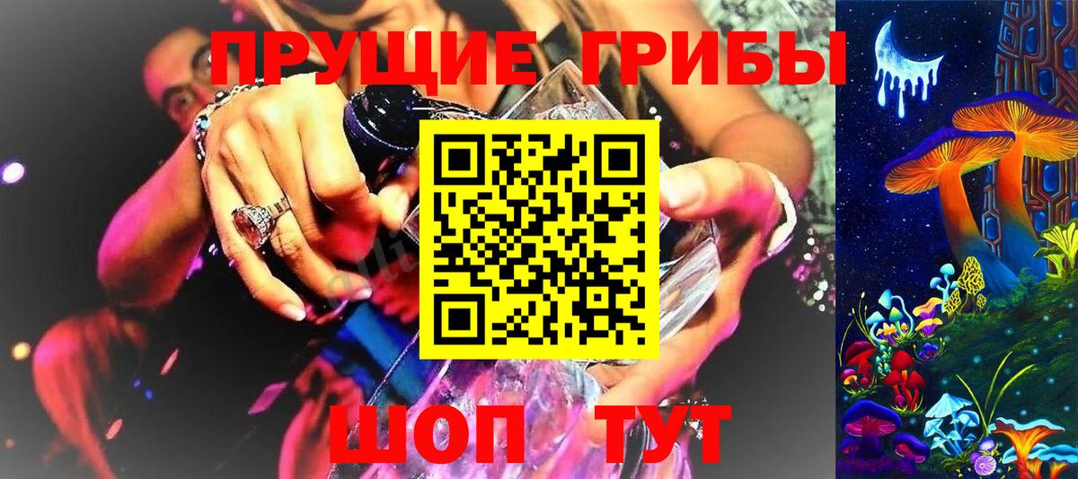магазин продажи наркотиков  Вход с VPN  Троицк  Псилоцибиновые грибы GOLDEN TEACHER 