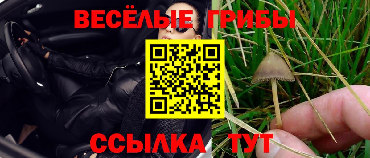 Галлюциногенные грибы GOLDEN TEACHER Троицк